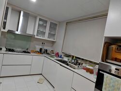 Costa Rhu (D15), Condominium #548522821
